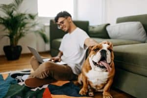 man on a laptop petting his dog at Ballpark District Luxury Apartments Denver